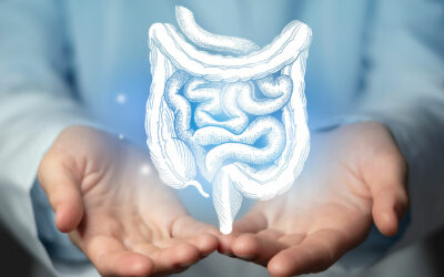 Dépistage colorectal : l’IA arrive à Rennes