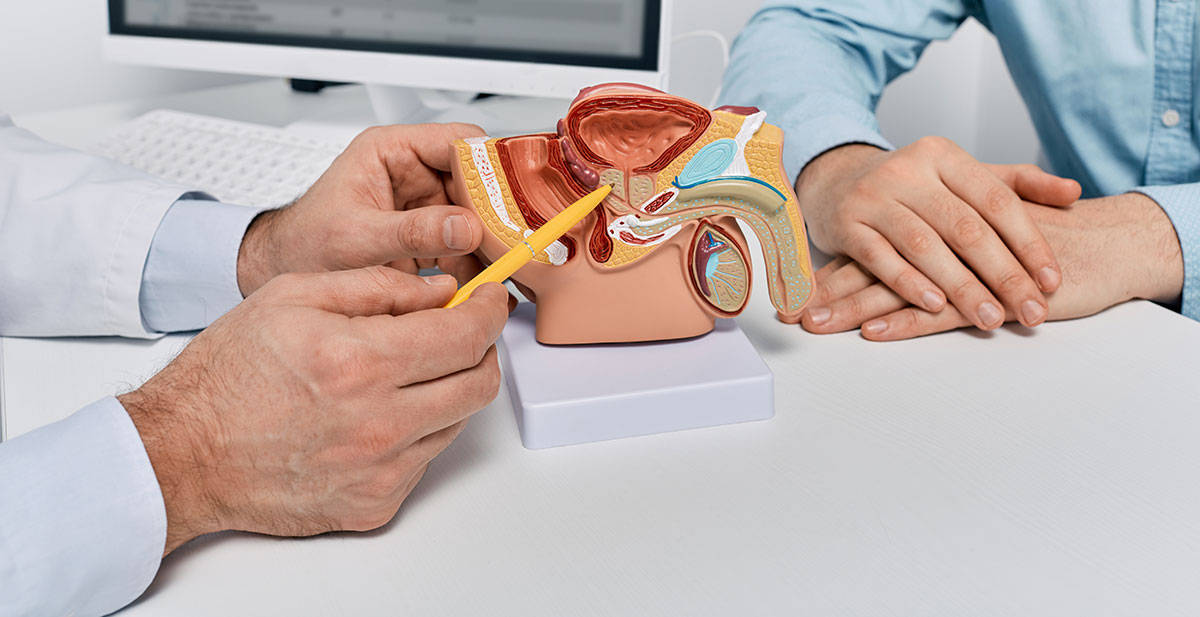 Medical professionals demonstrate ear anatomy with a life-size cross-section model, one pointing with a pencil at inner structures.